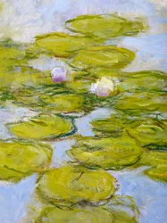Ninfee, 1916-19 (dettaglio)